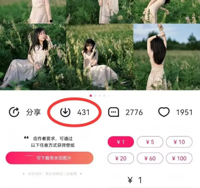 最新图虫搬运项目，收益无上限，利用AI小白也可日赚500+,速发云资源网