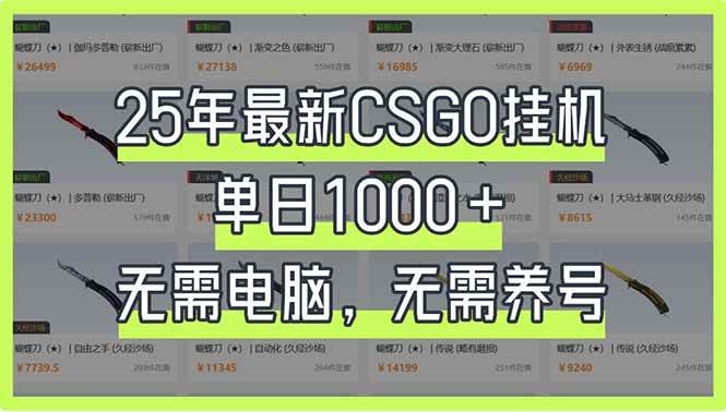 （14178期）25年最新CSGO挂机系统，单日1000+，无需电脑，无需养号，0基础可上手,速发云资源网