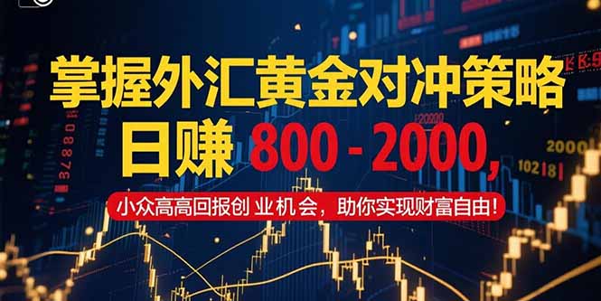 掌握外汇黄金对冲策略，日赚 800 – 2000，小众高回报创业机会，助你实…,速发云资源网