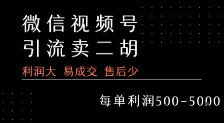视频号卖二胡教程，利润大 易成交 售后少，一单利润5张+,速发云资源网