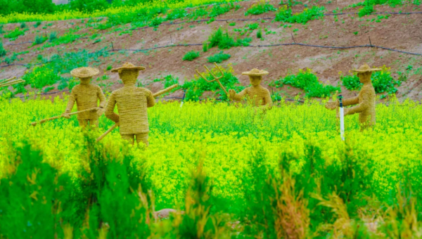 C++ 在自动驾驶领域的应用趋势,速发云资源网