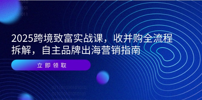 2025跨境致富实战课，收并购全流程拆解，自主品牌出海营销指南,速发云资源网