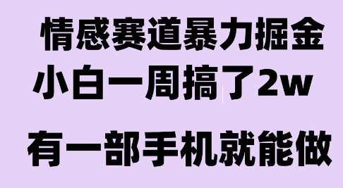 情感暴力掘金项目，新人操作一周挣了2W，长期稳定小白可做【揭秘】,速发云资源网