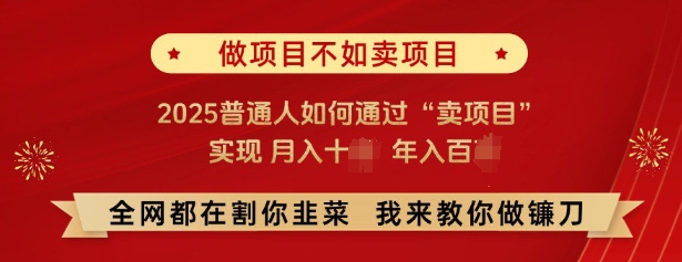 必看，做项目不如卖项目，2025普通人如何通过“卖项目”实现月入十个，年入百个,速发云资源网