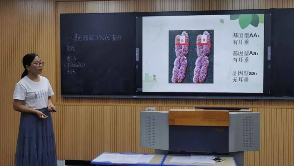 emlog 博客文章：通过优化文章阅读量统计的展示方式提升 SEO 热度感知,速发云资源网