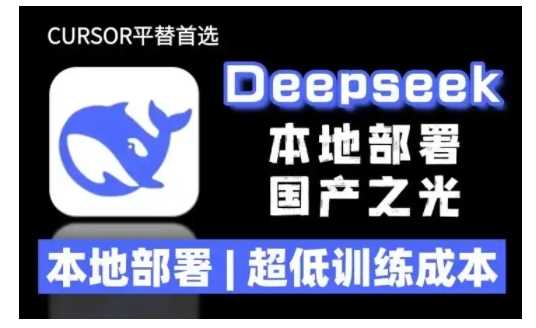 2025年deepseek R1 大型模型本地安装部署(文件+教程)本地部署，超低训练成本,速发云资源网