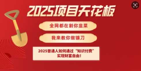 2025项目天花板普通人如何通过知识付费，实现财F自由【揭秘】,速发云资源网