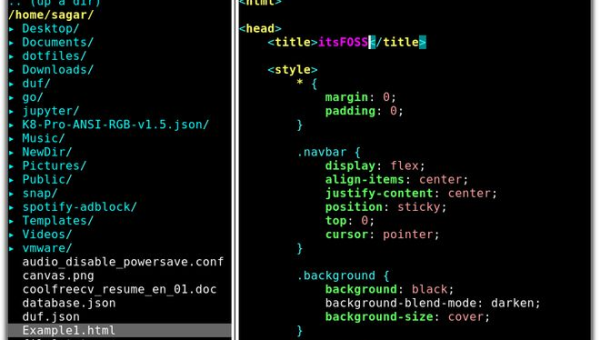 Vim Vanilla vs Neovim：传统编辑器与现代分支的差异,速发云资源网