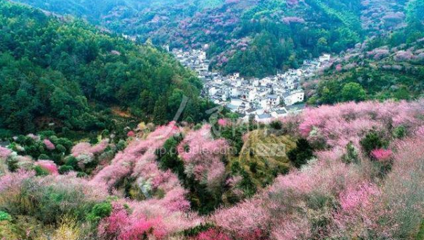 处女座如何处理生活中的细节问题？,速发云资源网