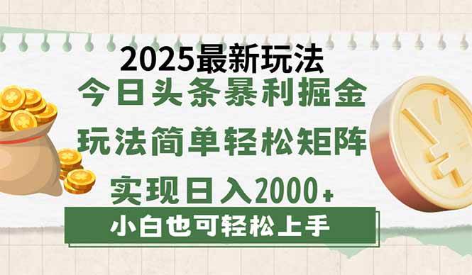 （14120期）今日头条2025最新玩法，思路简单，复制粘贴，轻松实现矩阵日入2000+,速发云资源网