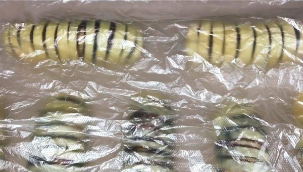 PHP 框架学习的快速上手,速发云资源网