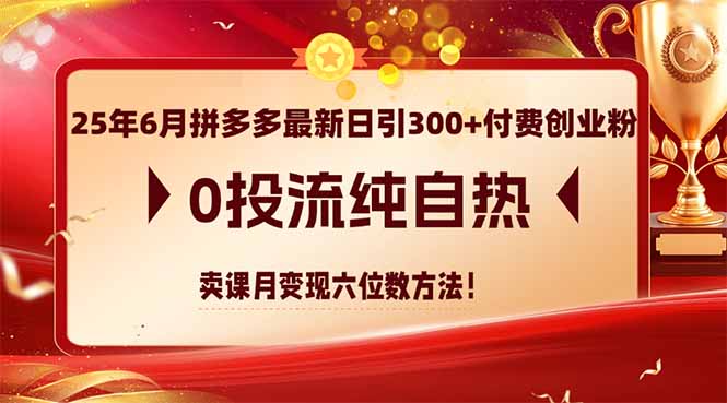 25年6月拼多多最新日引300+付费创业粉，0投流纯自热 卖课月变现六位数方法,速发云资源网