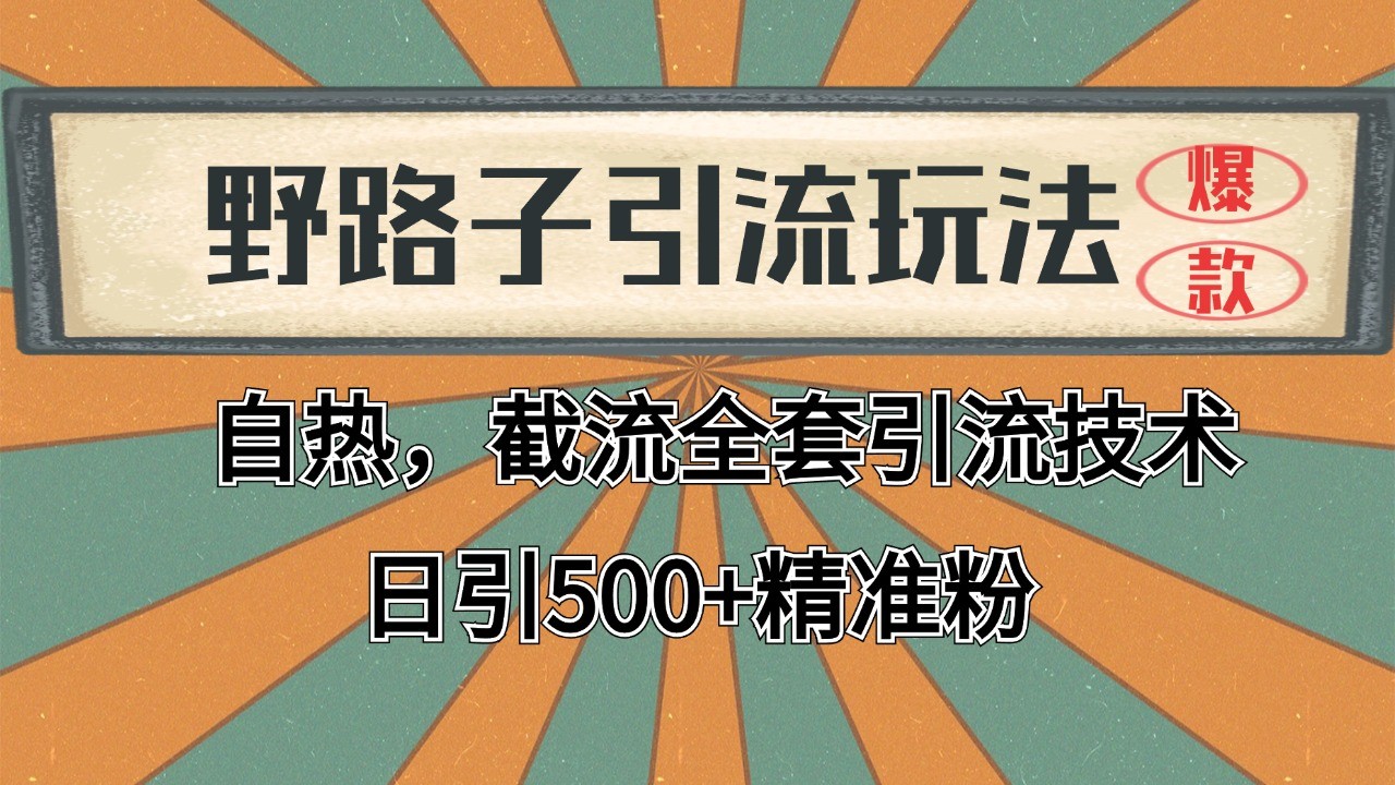 2024首发野路子引流玩法截流自热全平台打法，全自动引流【日引2000+精准客户】,速发云资源网