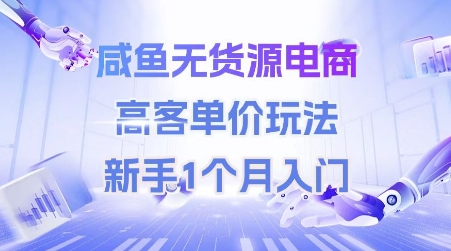咸鱼无货源电商，高客单价玩法，新手1个月入门,速发云资源网