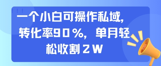 一个小白可操作私域，转化率90%，单月轻松收割2W,速发云资源网