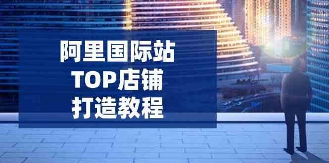 阿里国际站TOP店铺打造教程：涵盖平台到高阶，解决运营难题，提升询盘,速发云资源网
