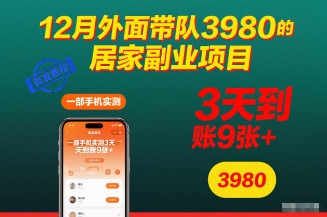 12月外面带队3980的居家副业项目，一部手机实测3天到账9张+，首发教程【揭秘】,速发云资源网