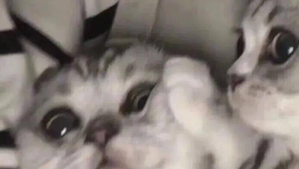 剑侠情缘五毒教的技能运用与战斗策略,速发云资源网