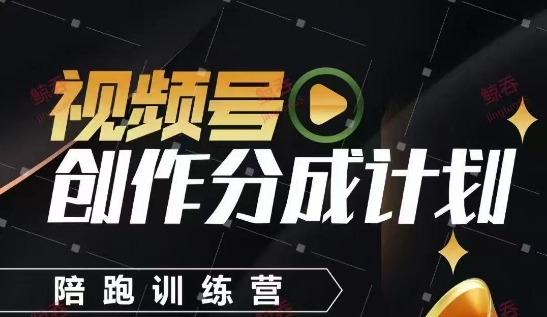 视频号创作分成计划陪跑训练营，手把手教会你如何制作视频，细水长流型项目,速发云资源网