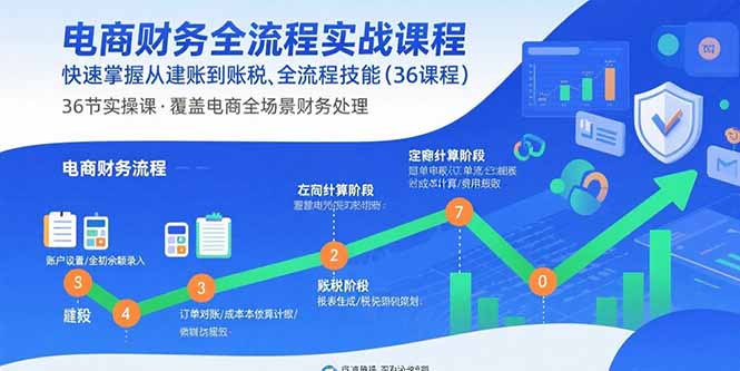 电商财务全流程实战课程：快速掌握从建账到报税的全流程技能(36节课,速发云资源网