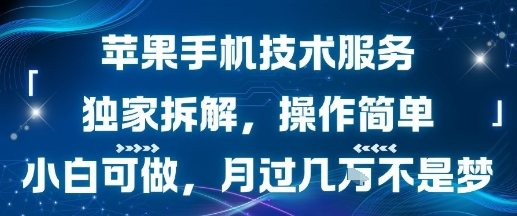 苹果手机技术服务，独家拆解，操作简单，小白可做，月过1W不是梦,速发云资源网
