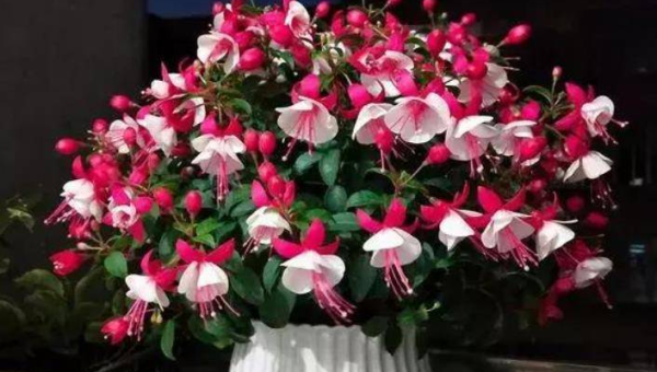 卧室窗户挂风铃风水好吗,速发云资源网