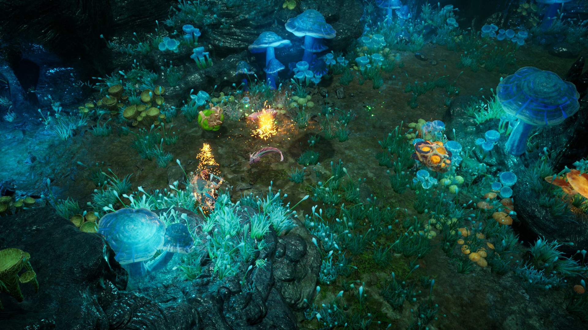 再次崛起/Rise Again 再次崛起/Rise Again