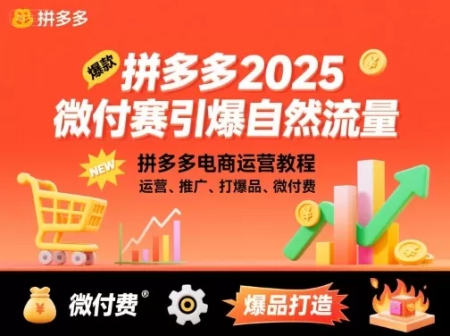 拼多多2025微付费引爆自然流量，拼多多电商运营教程，运营、推广、打爆品、微付费(更新),速发云资源网