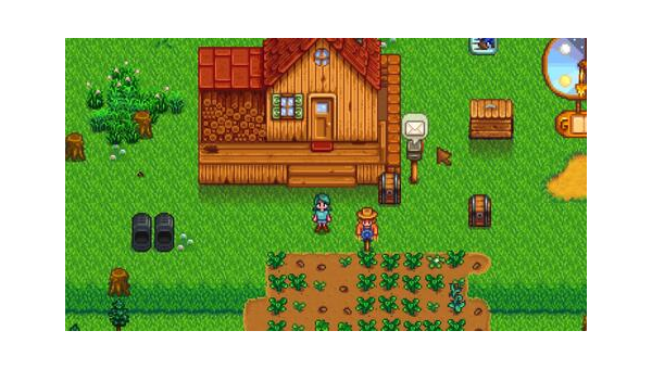 《星露谷物语》果树种植与农场布局策略,速发云资源网