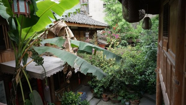 院子里种植李树的风水好处,速发云资源网