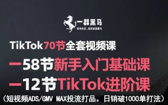 TikTok全套视频课，新手入门+进阶课，短视频ADS-GMV MAX投流打品，日销破1000单打法,速发云资源网