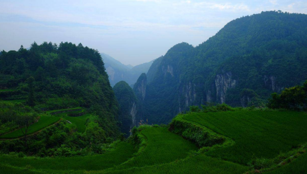 湖南十大农家菜的乡土味道,速发云资源网