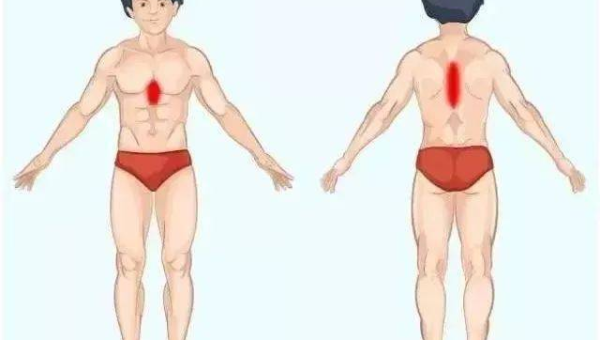 巴西与中国 AI 模型发展对比分析表,速发云资源网