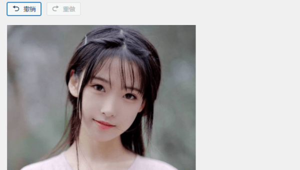 z - BlogPHP 博客 SEO：利用 WordPress 块的自定义属性优化特定元素 SEO,速发云资源网