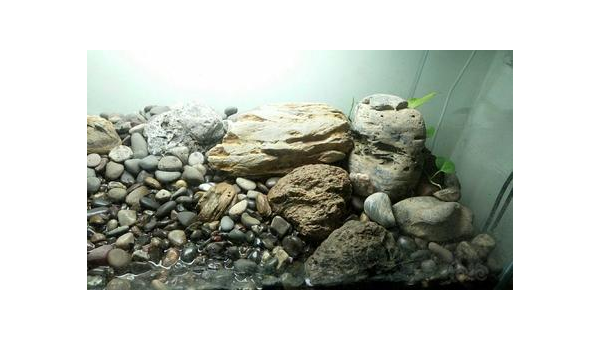 庭院铺鹅卵石路风水好吗,速发云资源网