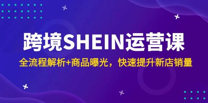 （14832期）跨境SHEIN运营课，全流程解析+商品曝光，快速提升新店销量,速发云资源网