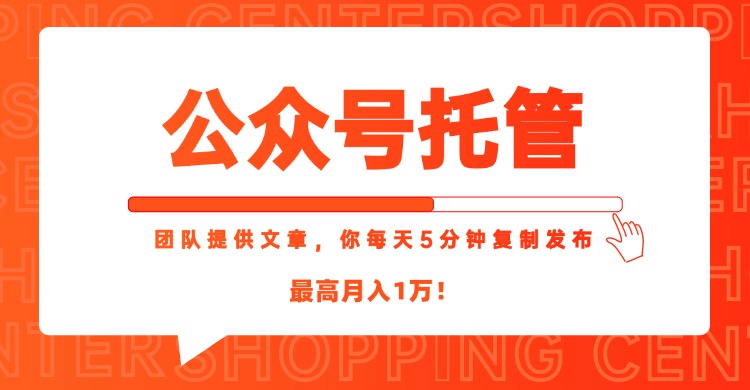 【公众号托管 】我提供文章，你每天５分钟复制发布，最高月入1W,速发云资源网