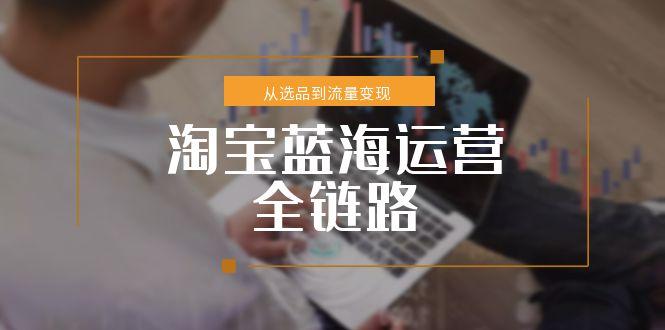 淘宝蓝海运营全链路，从选品到流量变现，小类目突围完整方案,速发云资源网