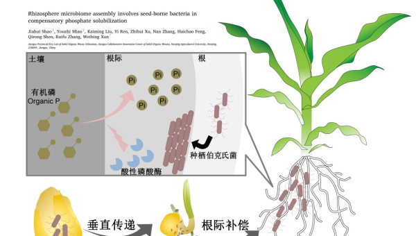 linux中命令自动补齐功能,速发云资源网