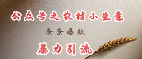 deepseek写农村小项目，条条爆款，暴力引流,速发云资源网