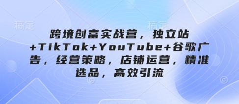 跨境创富实战营，独立站+TikTok+YouTube+谷歌广告，经营策略，店铺运营，精准选品，高效引流,速发云资源网