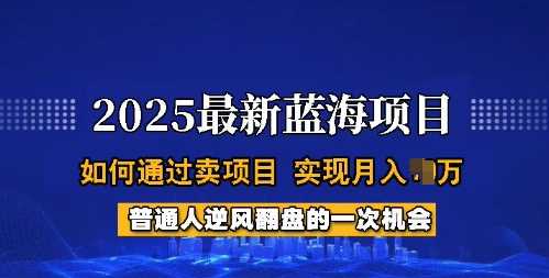 2025蓝海项目，普通人如何通过卖项目，实现月入过W，全过程【揭秘】,速发云资源网