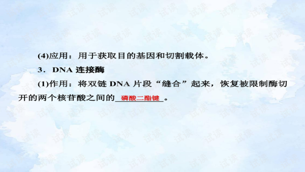 GitHub Codespaces 网络代理配置：PAC 文件与全局代理切换,速发云资源网