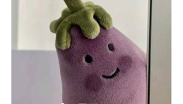 为何 Linux 系统无法识别新的网卡？,速发云资源网