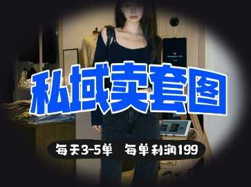 私域卖套图每天3-5单，每单利润99,速发云资源网