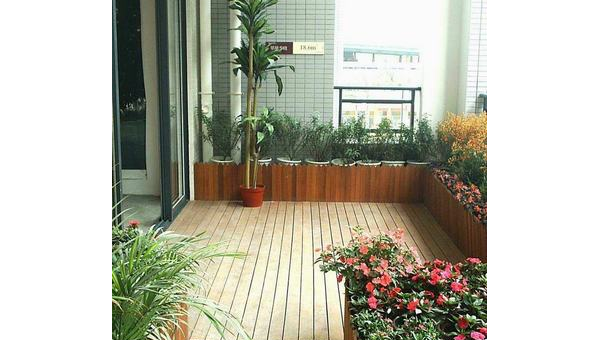 家里阳台种葡萄藤风水好吗,速发云资源网