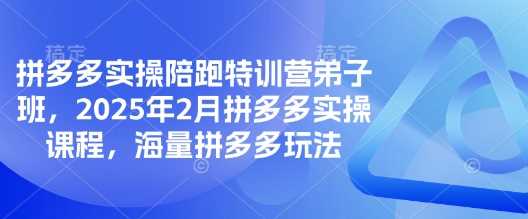 拼多多实操陪跑特训营弟子班，2025年2月拼多多实操课程，海量拼多多玩法,速发云资源网