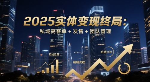 2025实体变现终局：私域高客单+发售+团队管理,速发云资源网