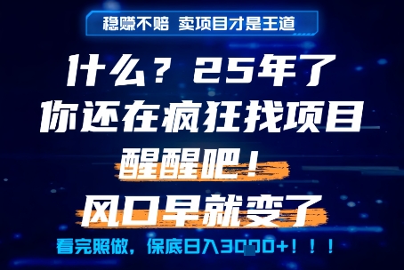 什么？25年你还在疯狂找项目做，醒醒吧，看完这些你全都懂了！【揭秘】,速发云资源网