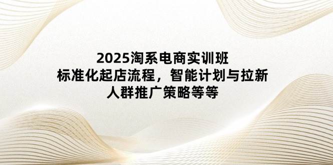 （14522期）2025淘系电商实训班：标准化起店流程，智能计划与拉新，人群推广策略等等,速发云资源网